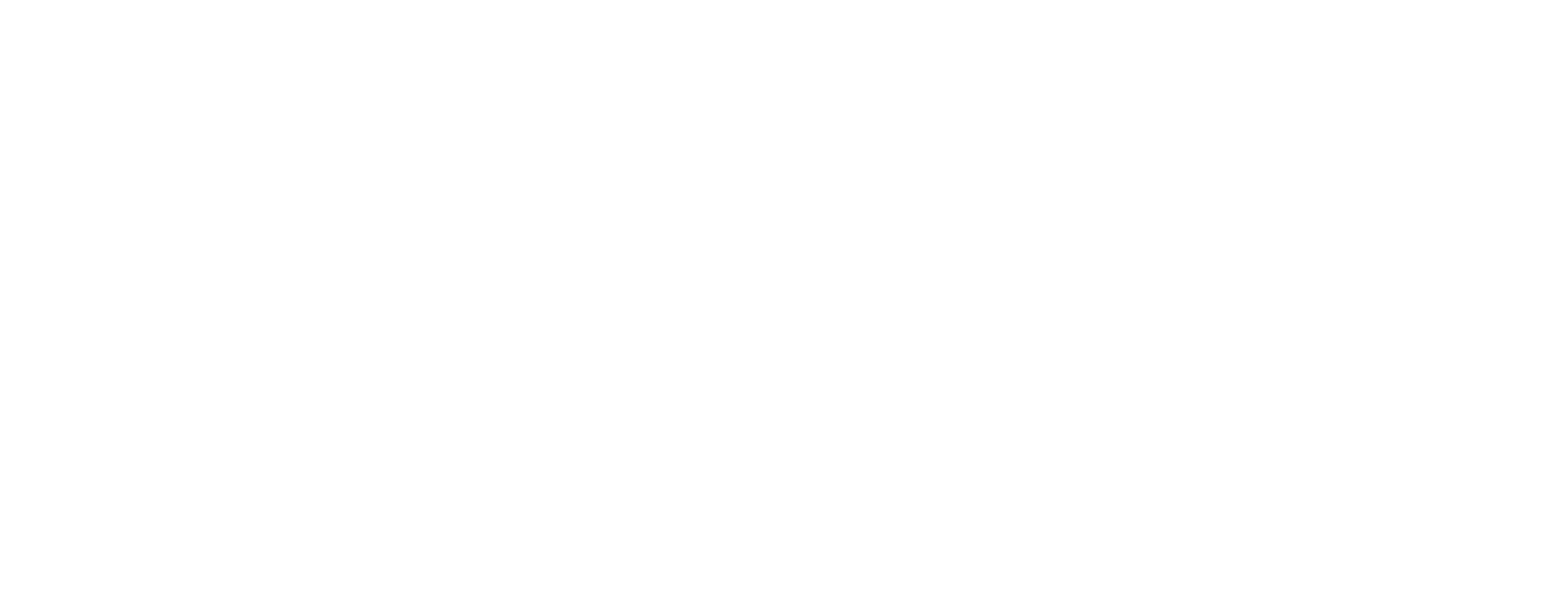 logo2 (1)